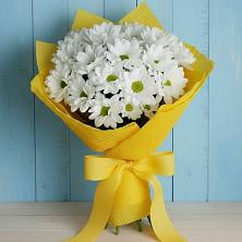 Букет цветов из:  Хризантемы в Шестаково