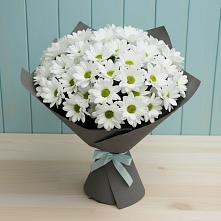 Букет цветов из:  Хризантемы #REPLACE_PRED# Шестаково