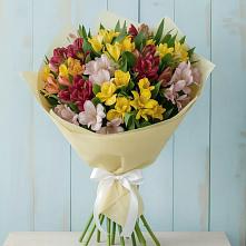 Букет цветов из:  Альстромерии #REPLACE_PRED# Шестаково