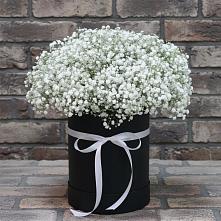 Цветочная композиция из Гипсофила в шляпной коробке в Шестаково