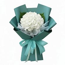 Букет цветов из:  Гортензия в Шестаково